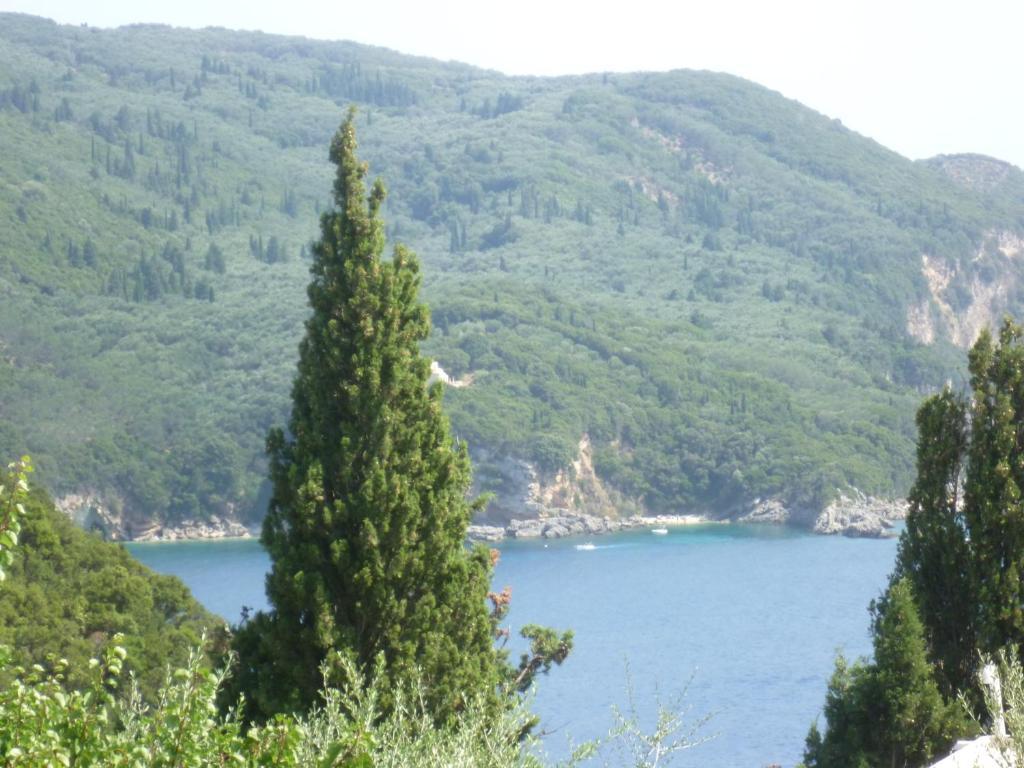 Ferienwohnung Noufaro Paleokastritsa Zimmer foto